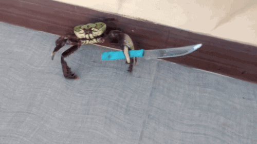 GIF crabe menaant avec un couteau